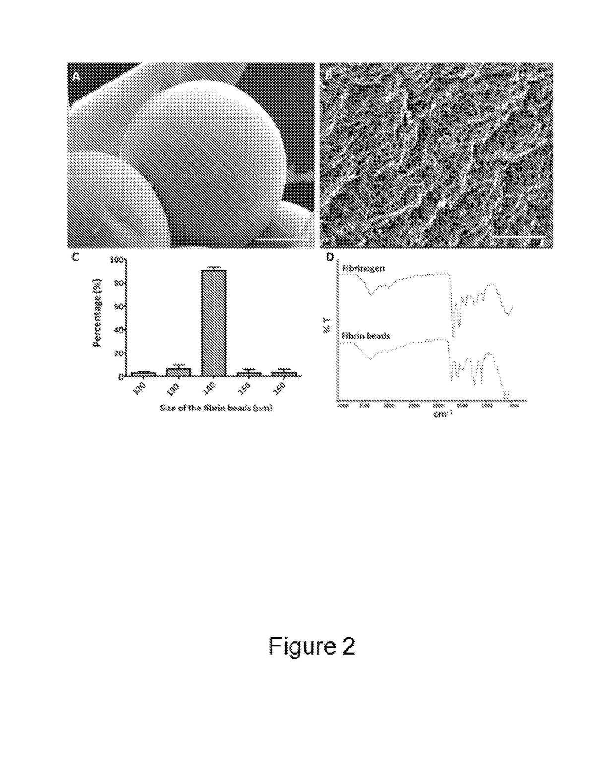 Natural Polymer-Derived Scaffold Material and Methods for Production Thereof