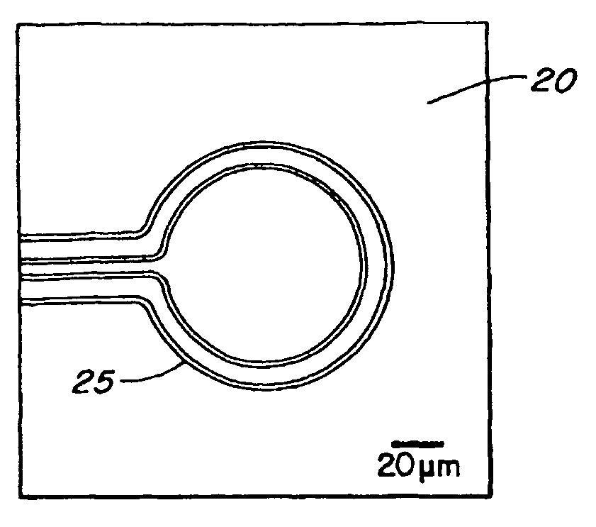 System and method for capturing and positioning particles