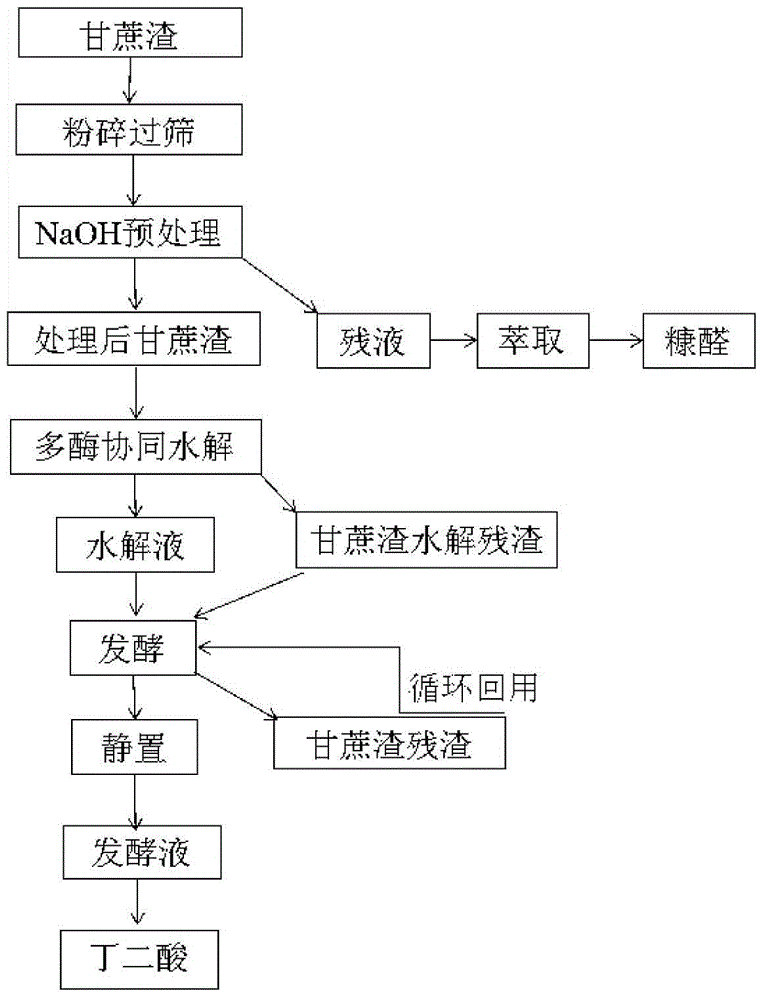 Method for producing succinic acid by taking sugarcane bagasse as raw materials through fermentation