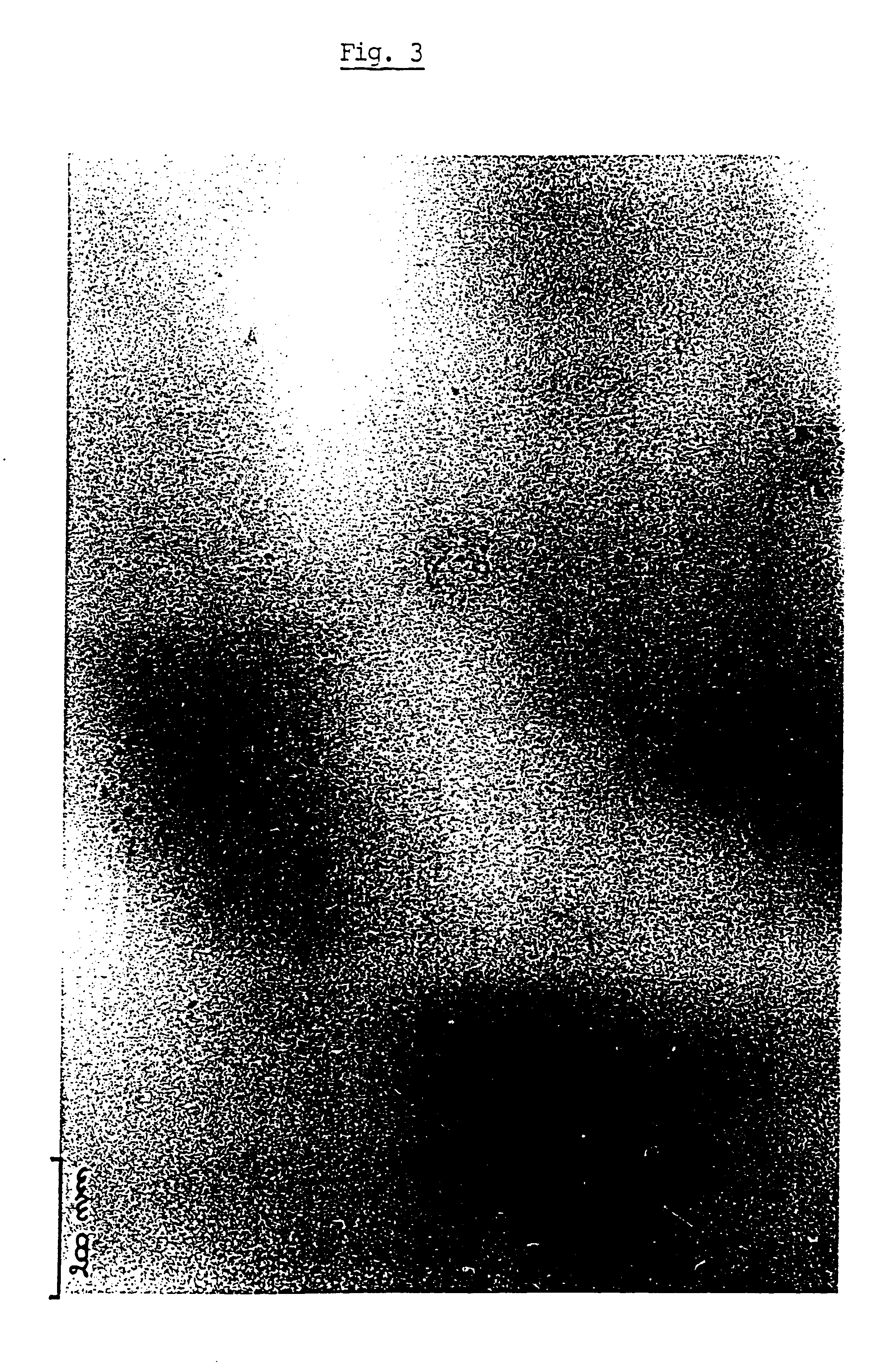 Polyolefins and method for the production thereof