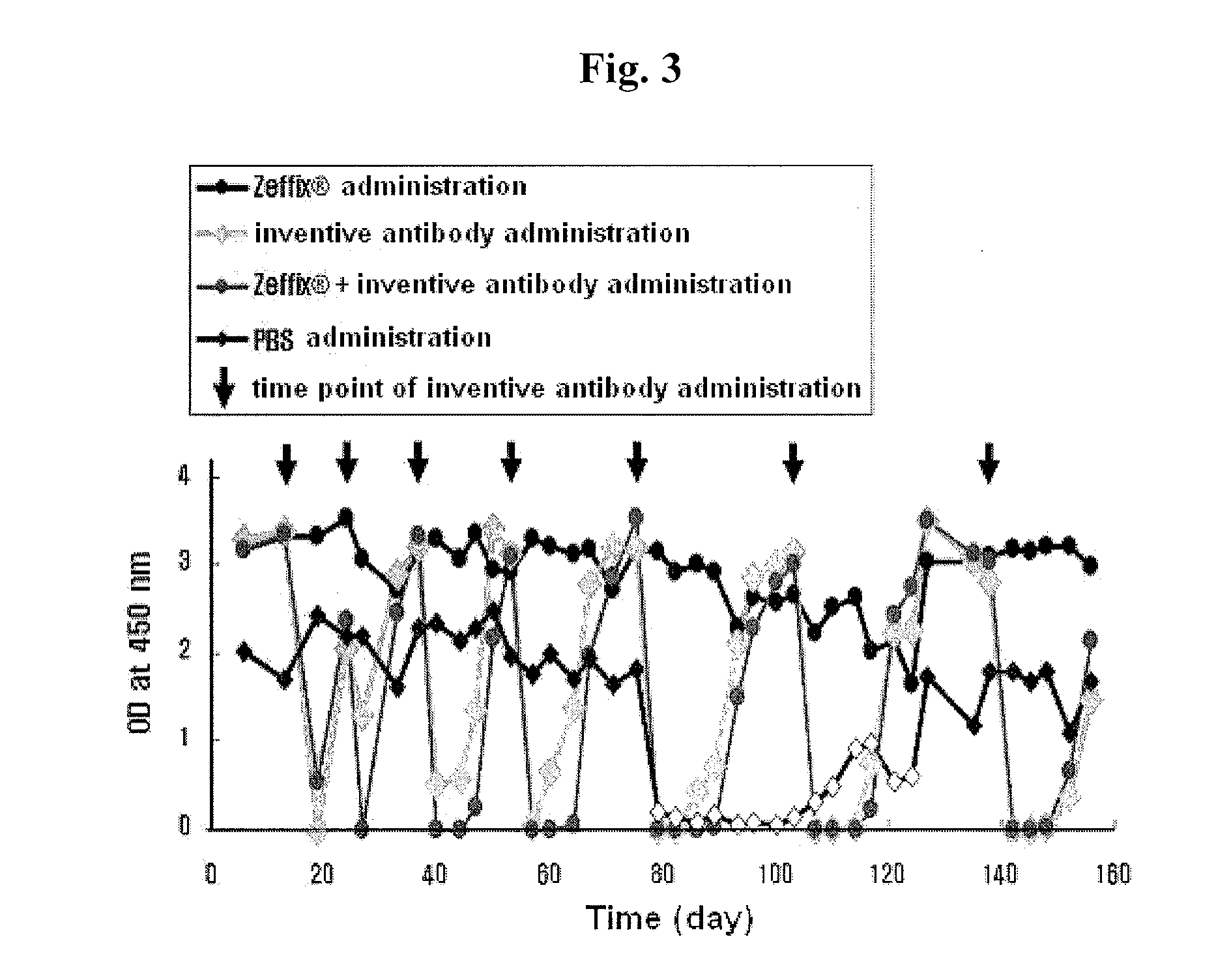 Use of human antibody capable of neutralizing hepatitis b virus for the prevention or treatment of hepatitis b virus infection