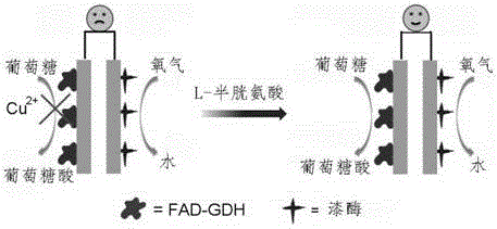 Method for quantitative detection of L-cysteine