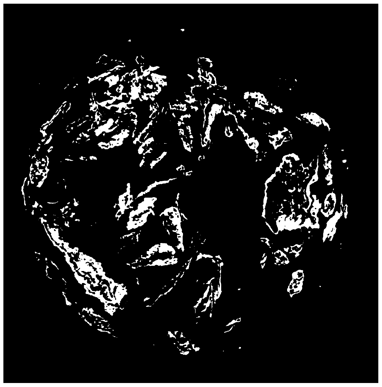 Method for quantitatively measuring spatial structure of soil particulate organic matters