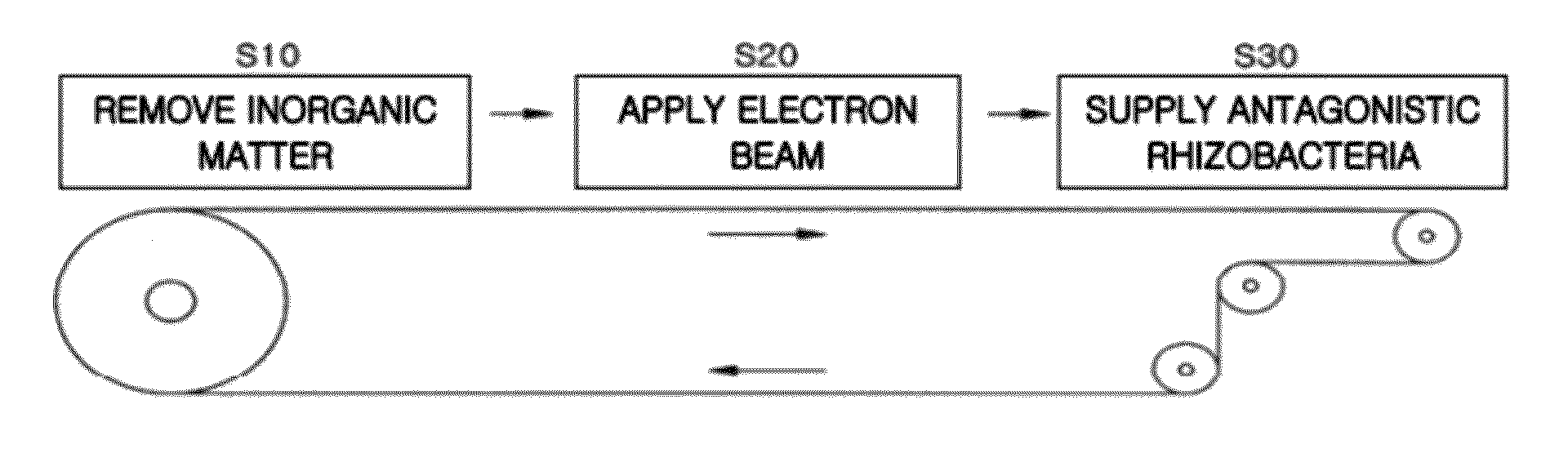 Method and system for sterilization of the soil for growing Korean ginseng by using an electron beam and system of growing Korean ginseng using an electron beam sterilization