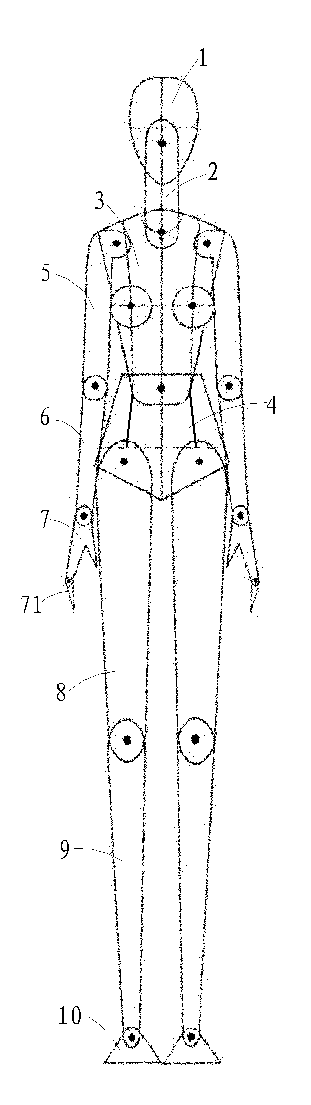 Method for drawing human body dynamic model drawing for clothing design drawing