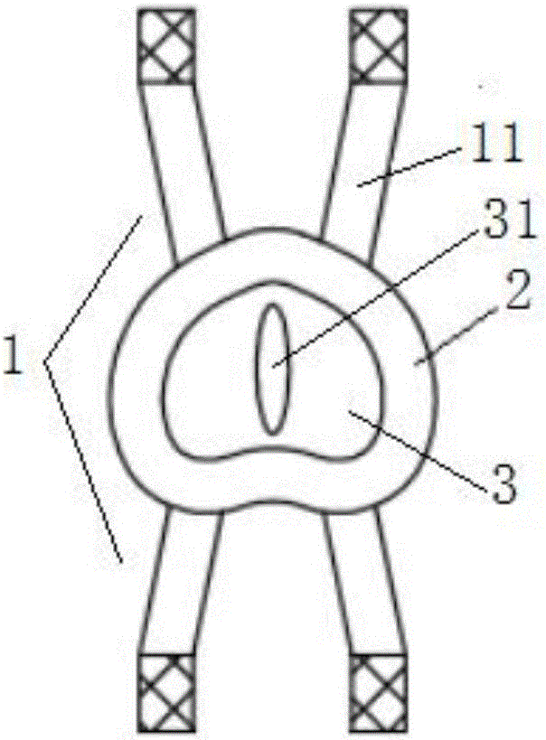 Postoperative care dressing for anus disease