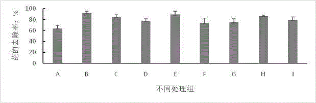 Method of combinedly-reinforced repairing pyrene-and-lead combinedly-polluted soil with scripus triqueter