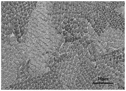 Preparation method of Fe2B intermetallic compound wear-resistant coating