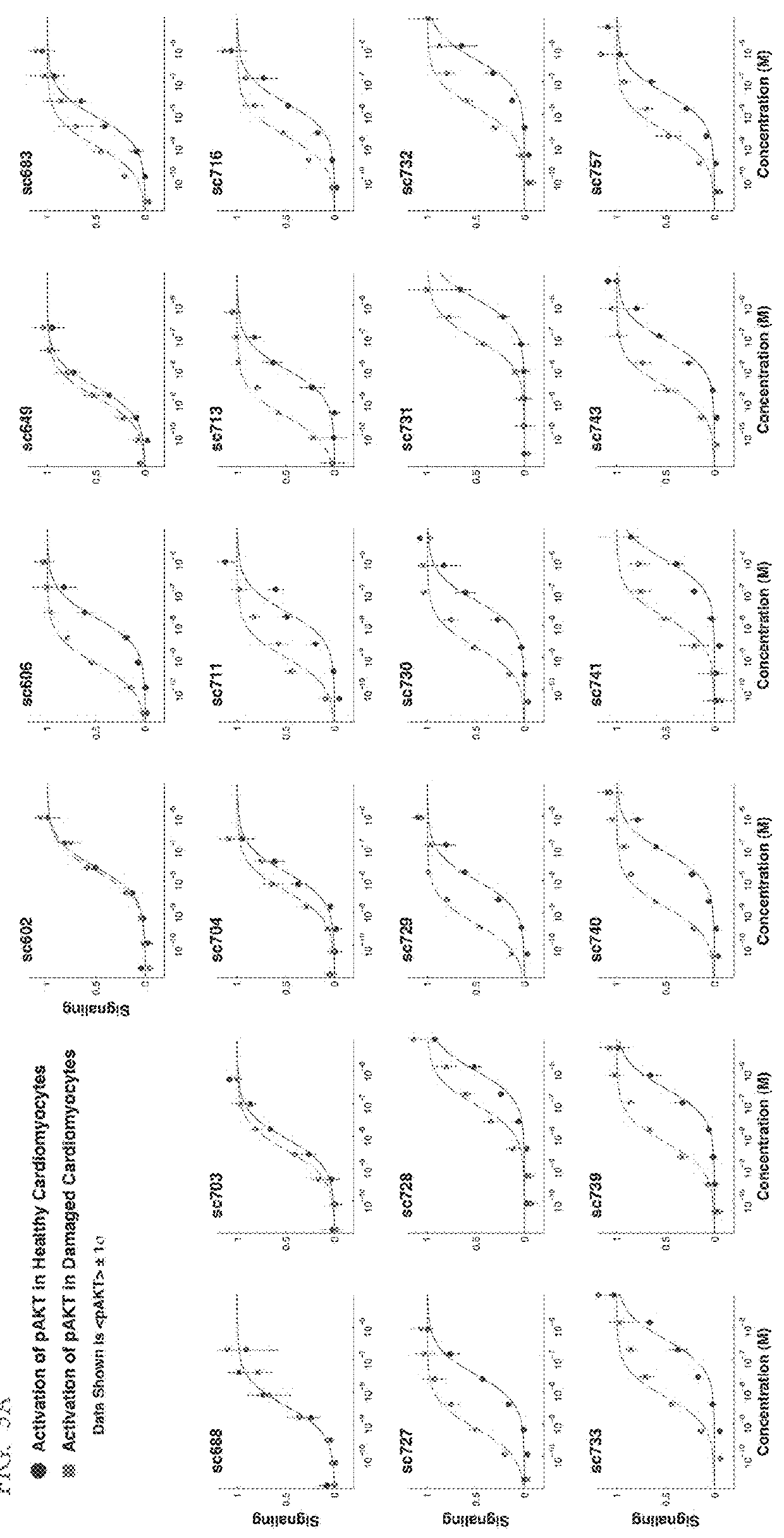 Bi-specific annexin A5/IGF-1 proteins and methods of use thereof to promote regeneration and survival of tissue