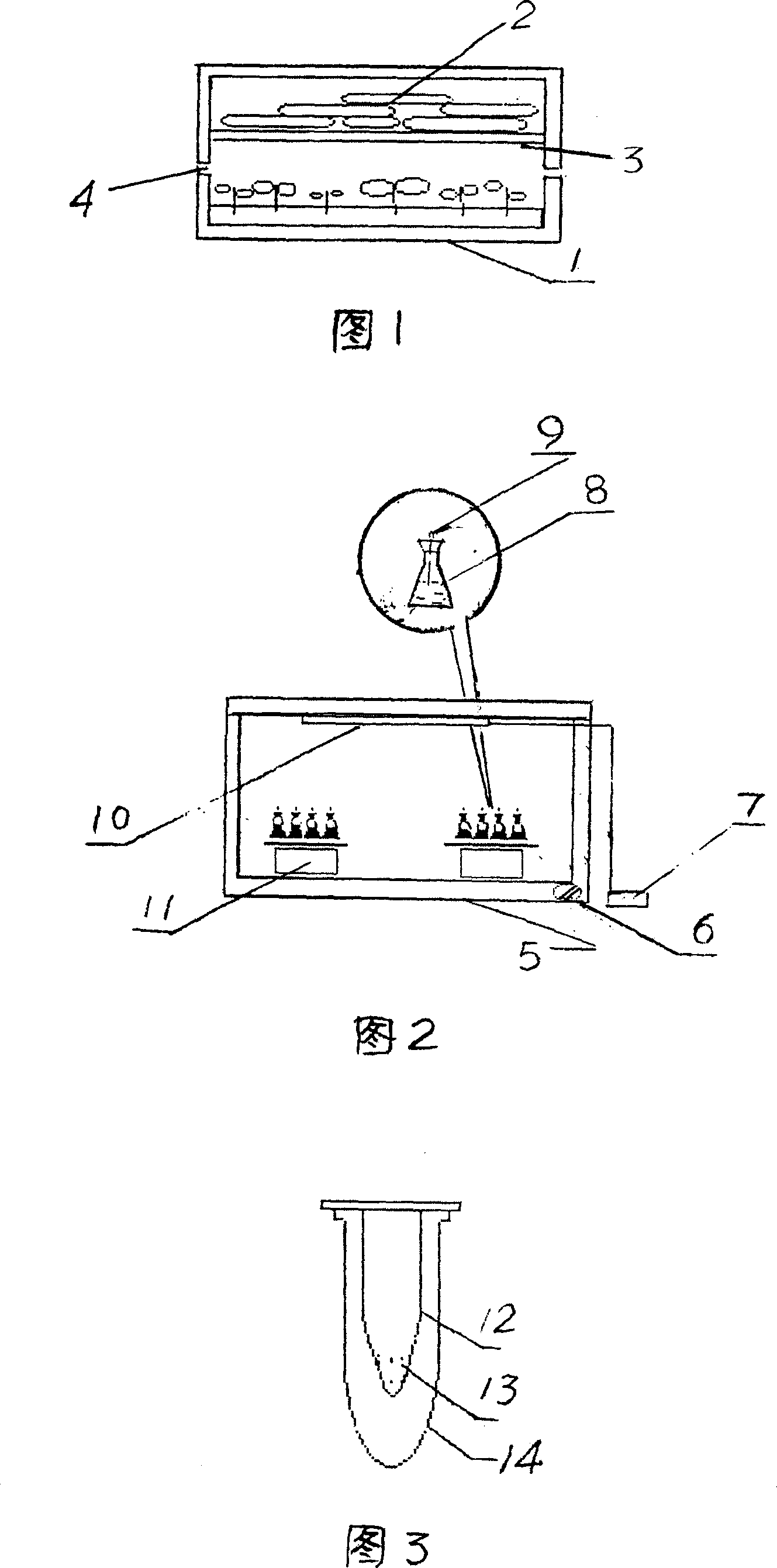 Method for tissue culturing ice edge plant in high mountains and for production of excreting protein-from cold induction