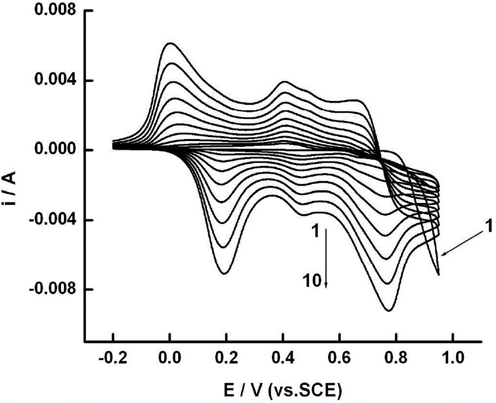 Polyaniline and poly-p-aminophenol double-layer membrane as well as preparation method and application of polyaniline and poly-p-aminophenol double-layer membrane