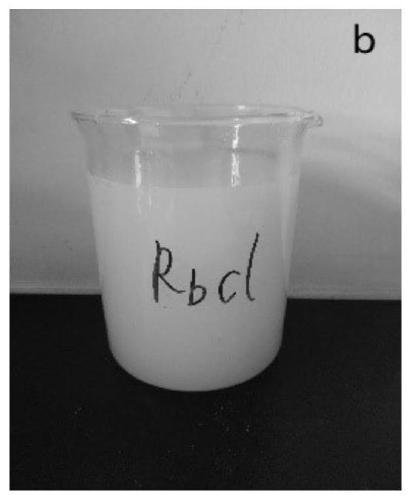 Precipitate flotation separation system of rubidium and cesium in aqueous solution and application thereof