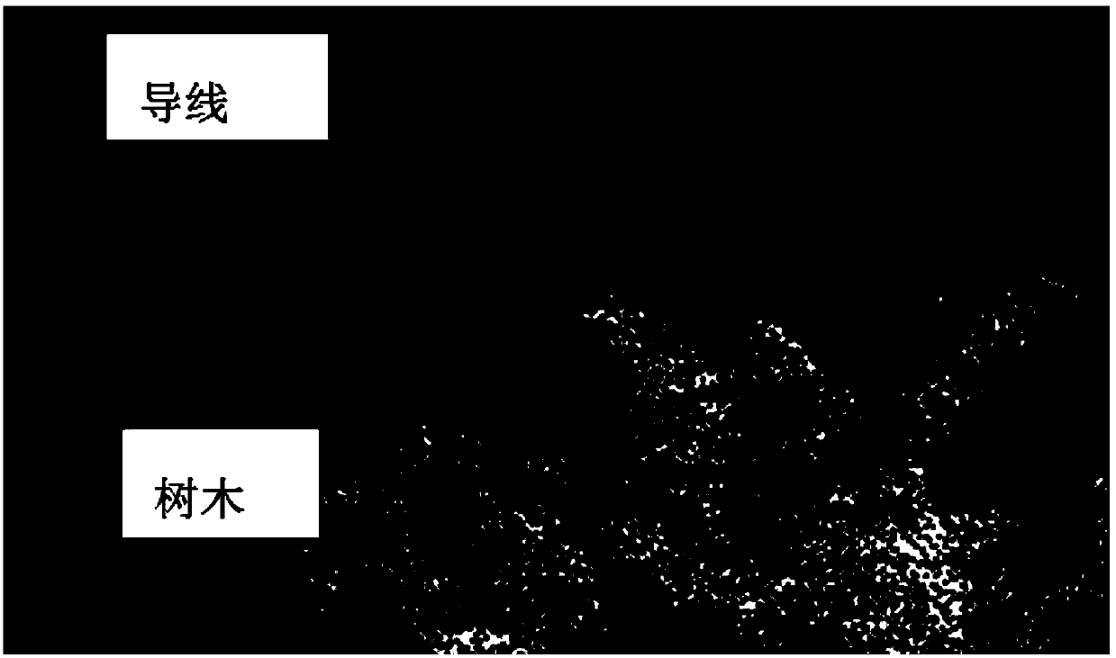 Lead obstacle safety distance detection method considering tree lodging