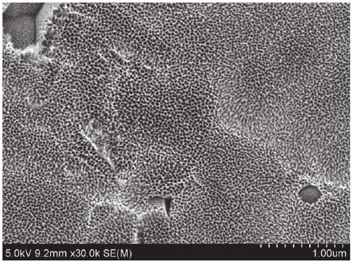 An integrated surface treatment method of titanium metal and plastic and its composite product