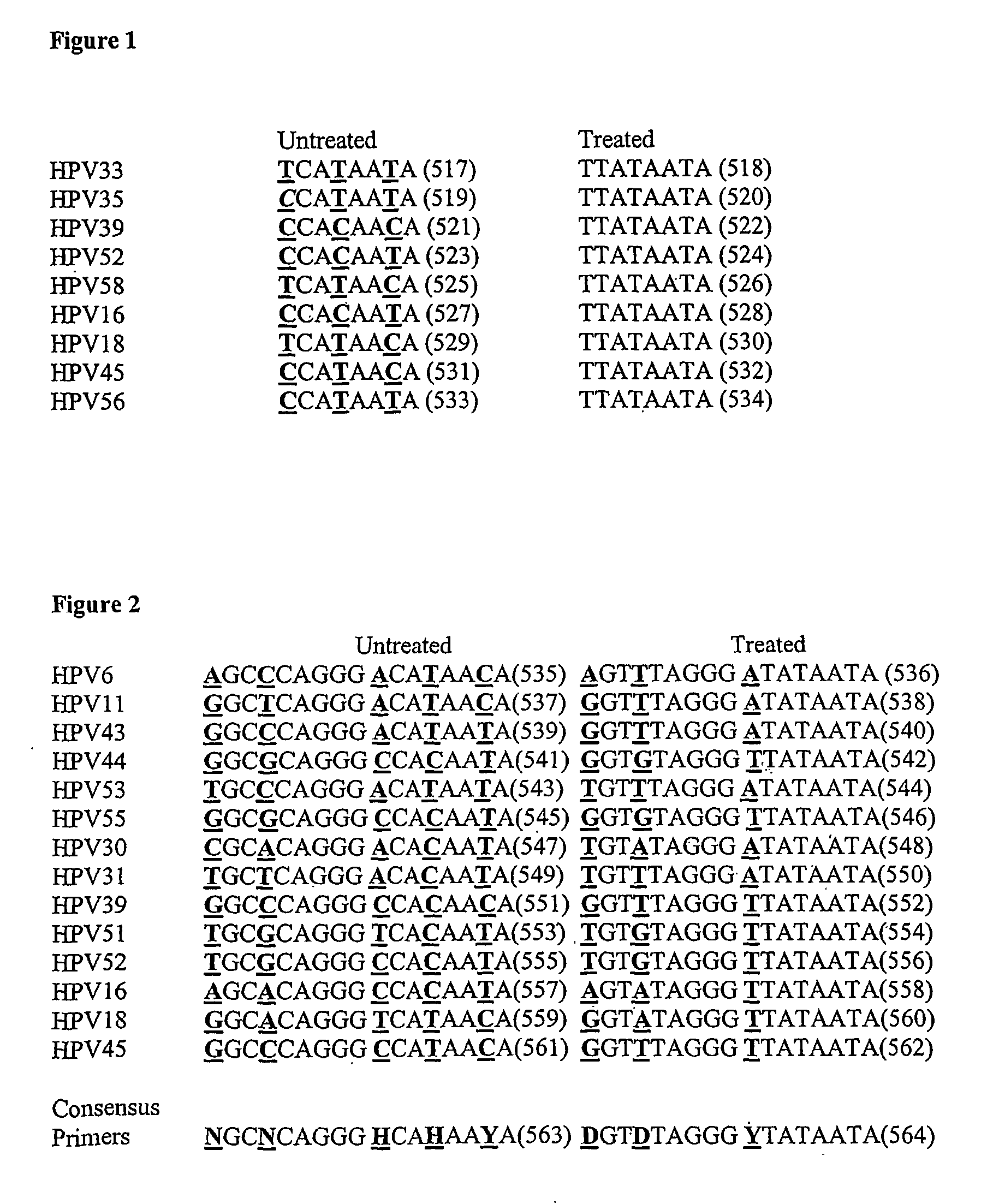 Detection of human papilloma virus