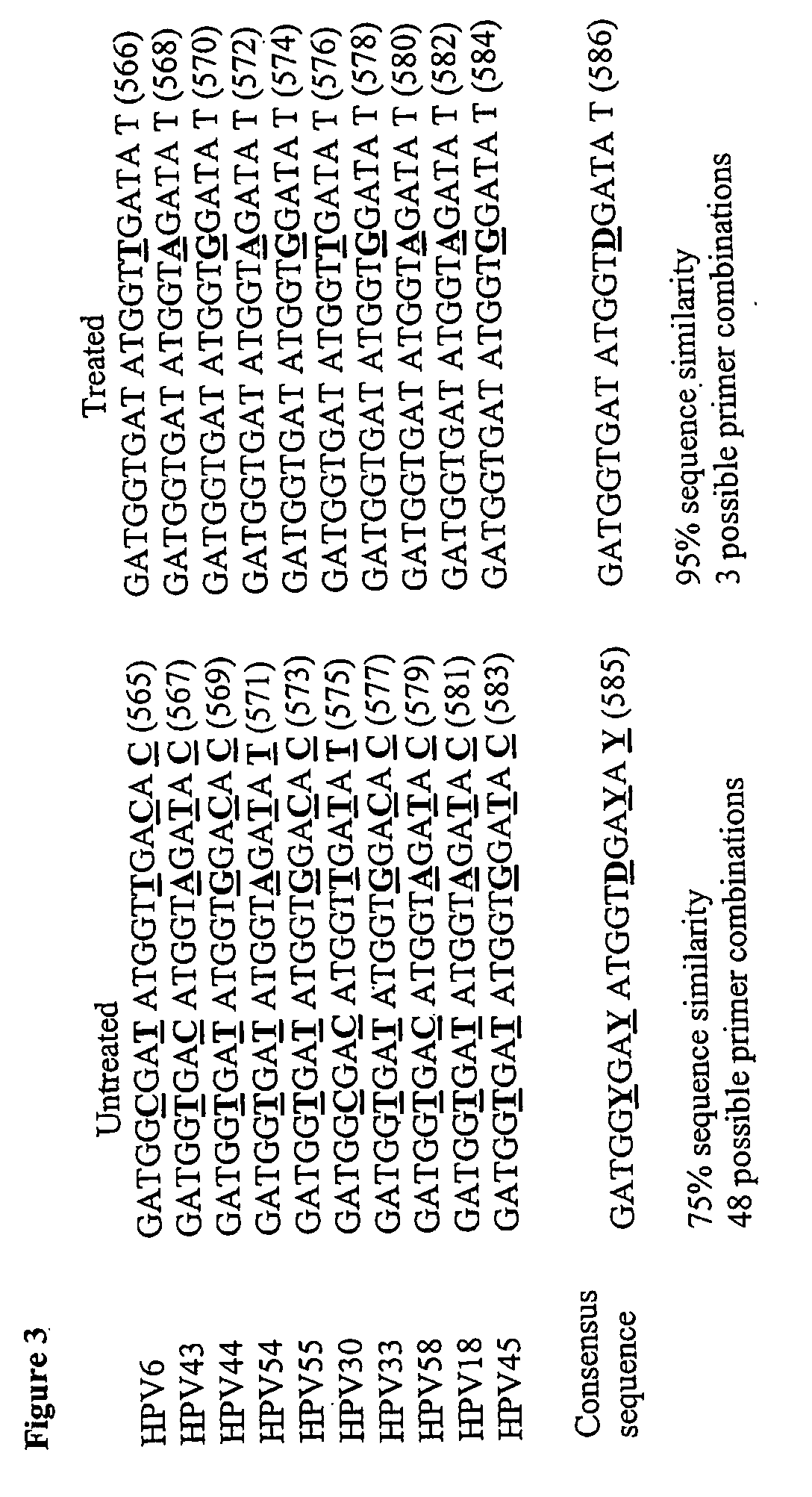 Detection of human papilloma virus