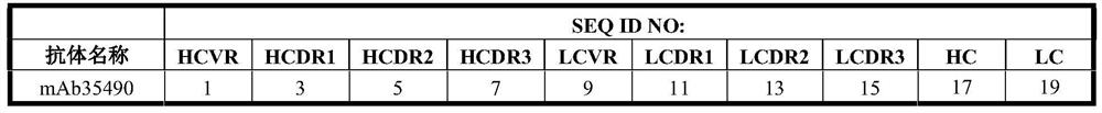 Anti-hemagglutinin antibodies and methods of use thereof