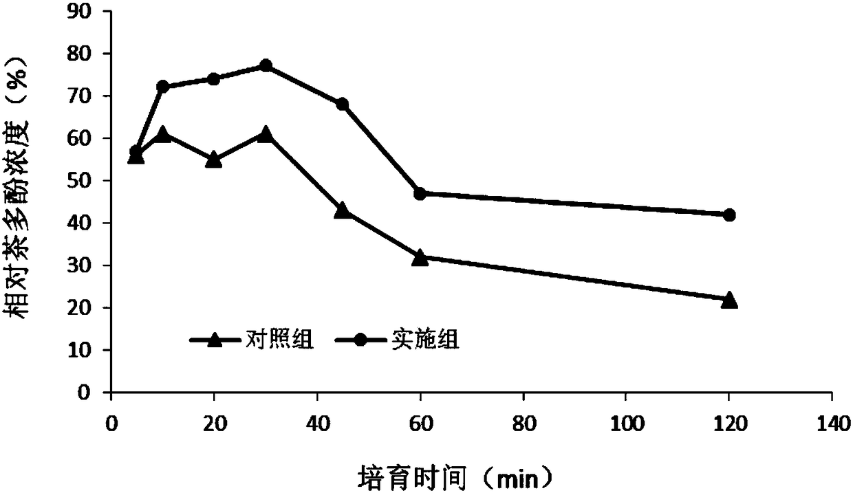 A kind of preparation method of high-performance Dendrobium officinale tea polyphenol compound