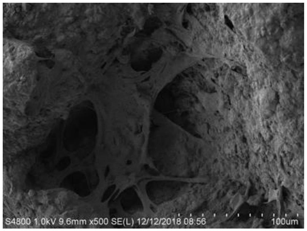 Preparation method of a composite bone tissue engineering scaffold material