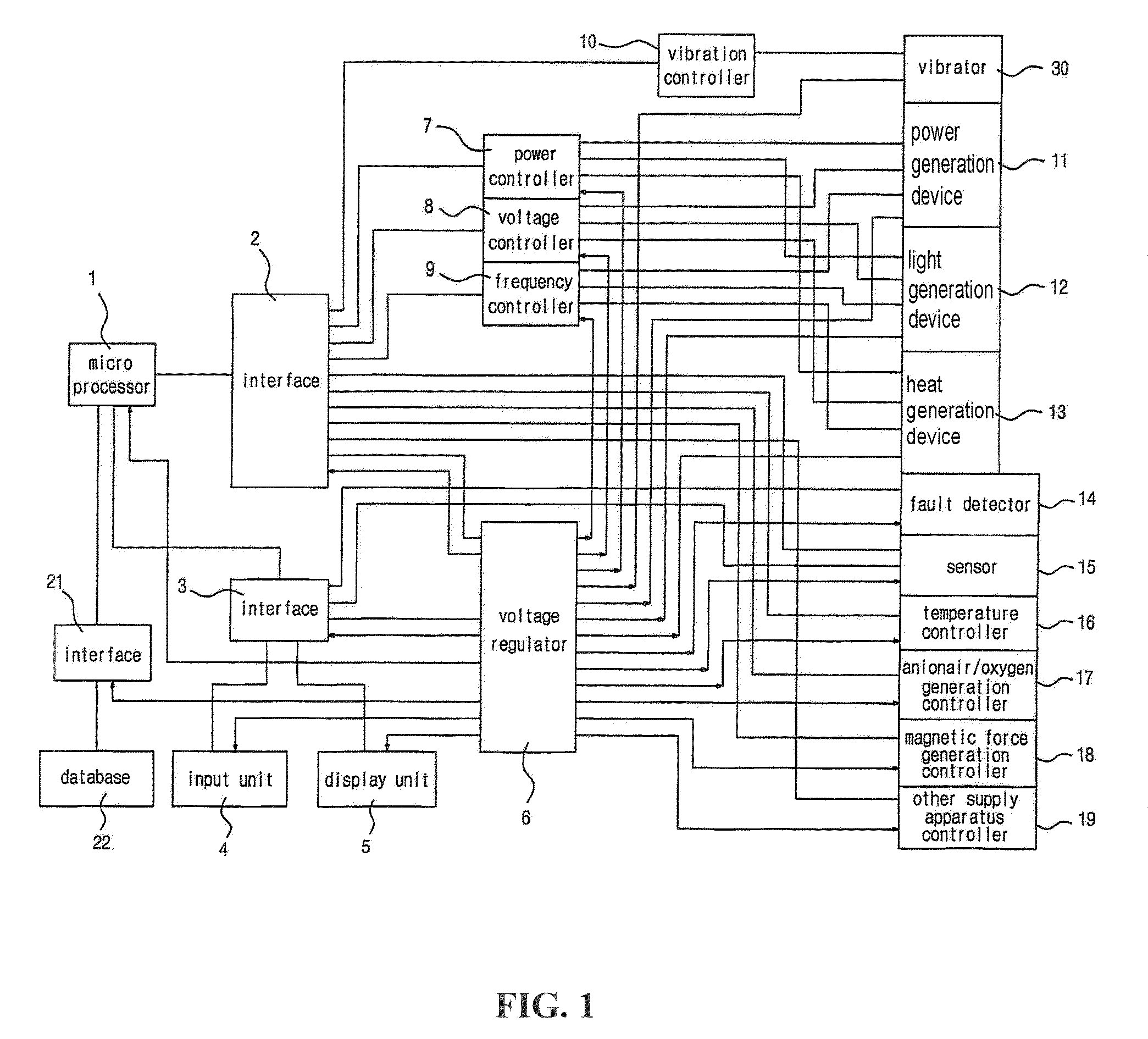 Hair growth apparatus