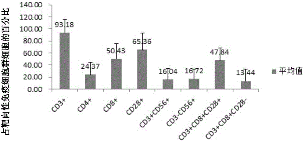 DC cell based on BCG1 antigen, targeting immune cell population, preparation method and applications thereof