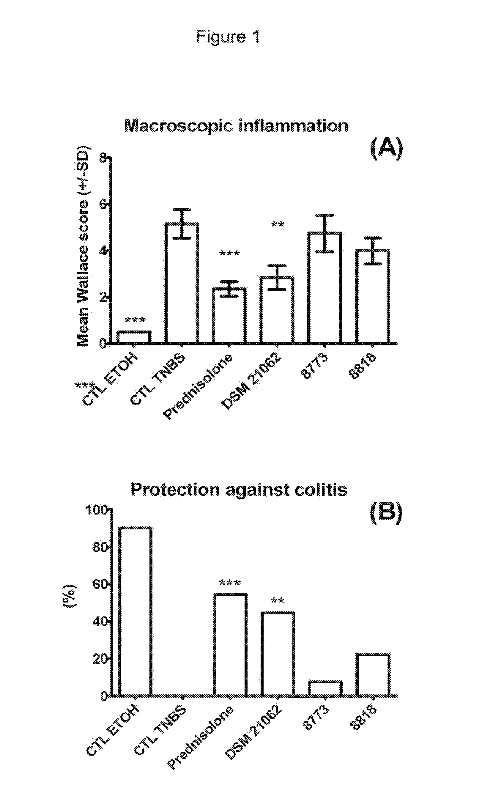 Probiotic bifidobacterium longum