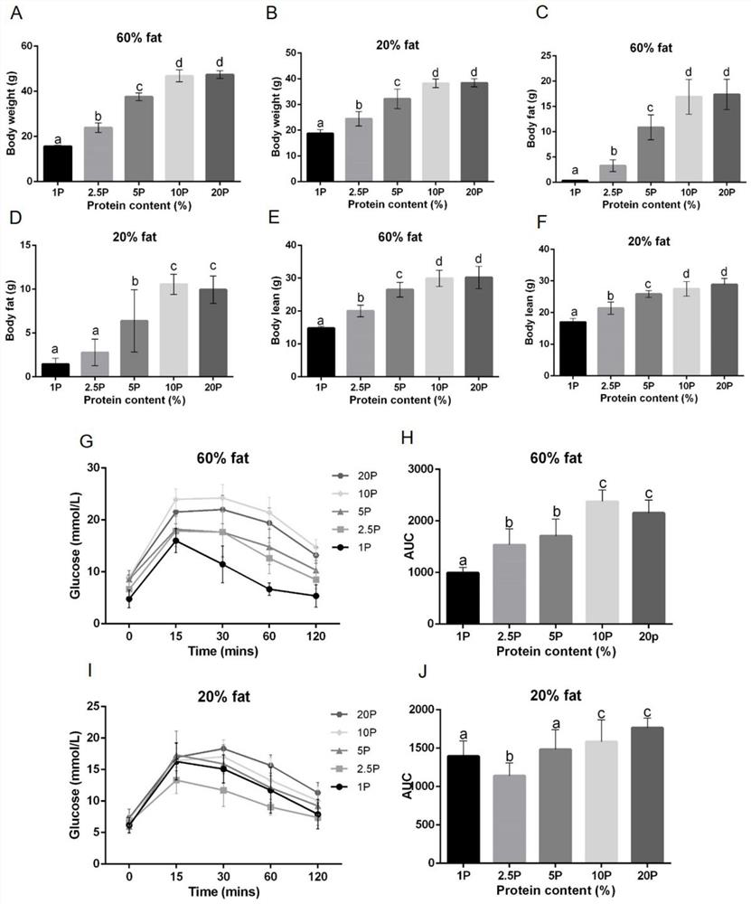 Starvation intervention method based on macro nutrient component change and mTOR signal inhibitor, and application thereof