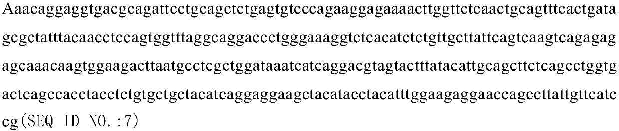 T cell receptor (TCR) capable of recognizing short peptide of PRAME antigen