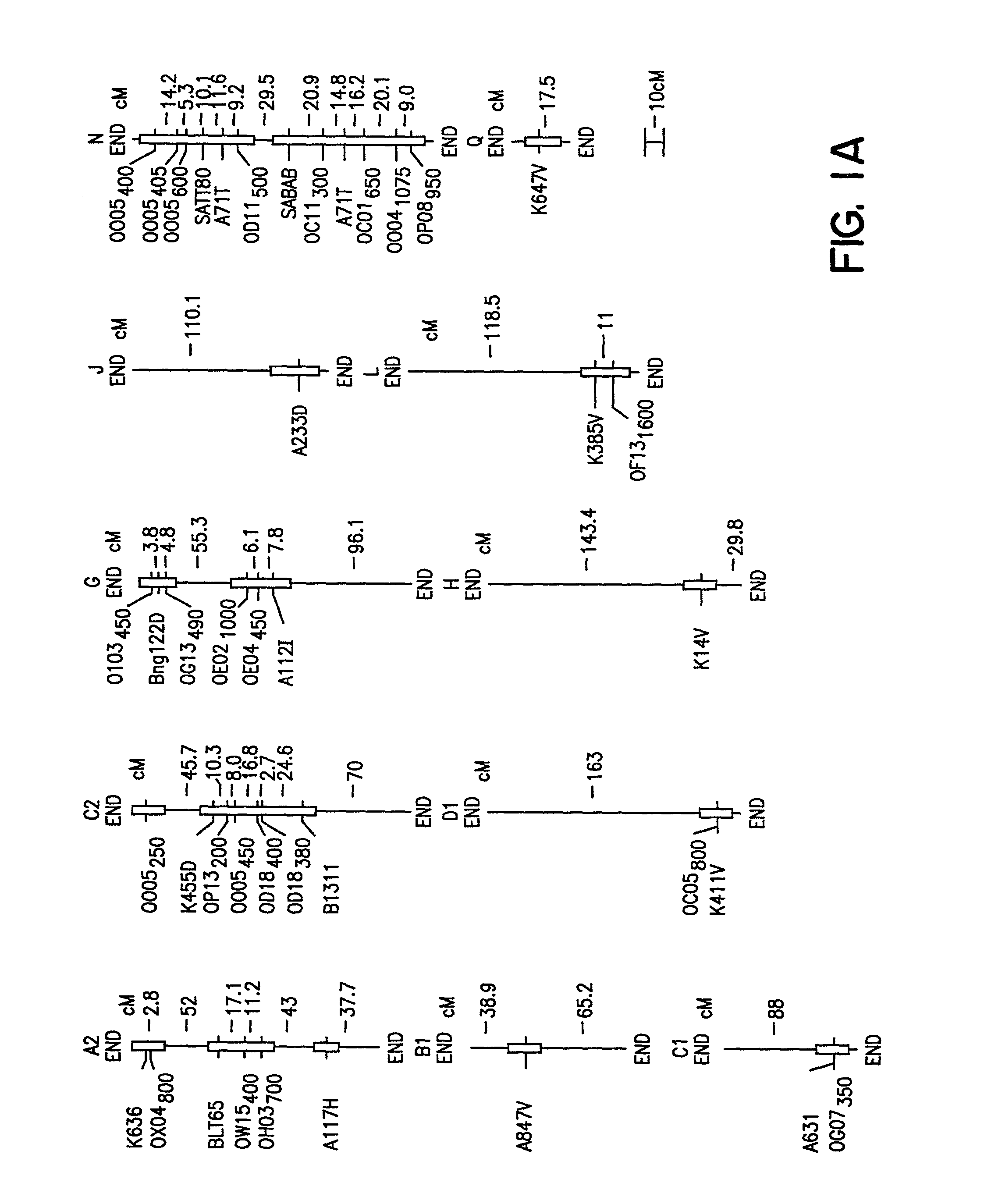 Soybean sudden death syndrome resistant soybeans, soybean cyst nematode resistant soybeans and methods of breeding and identifying resistant plants