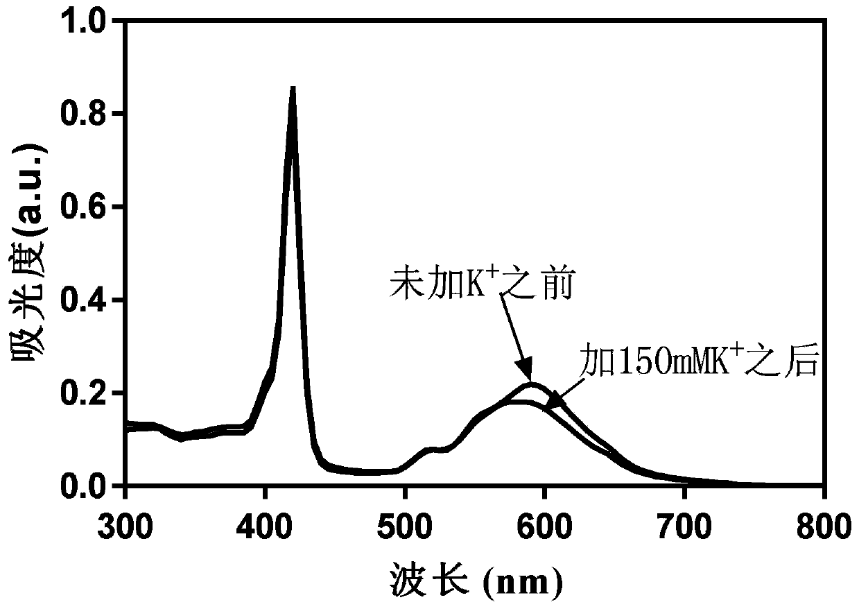 Macromolecular potassium ion fluorescent probe as well as preparation method and application thereof