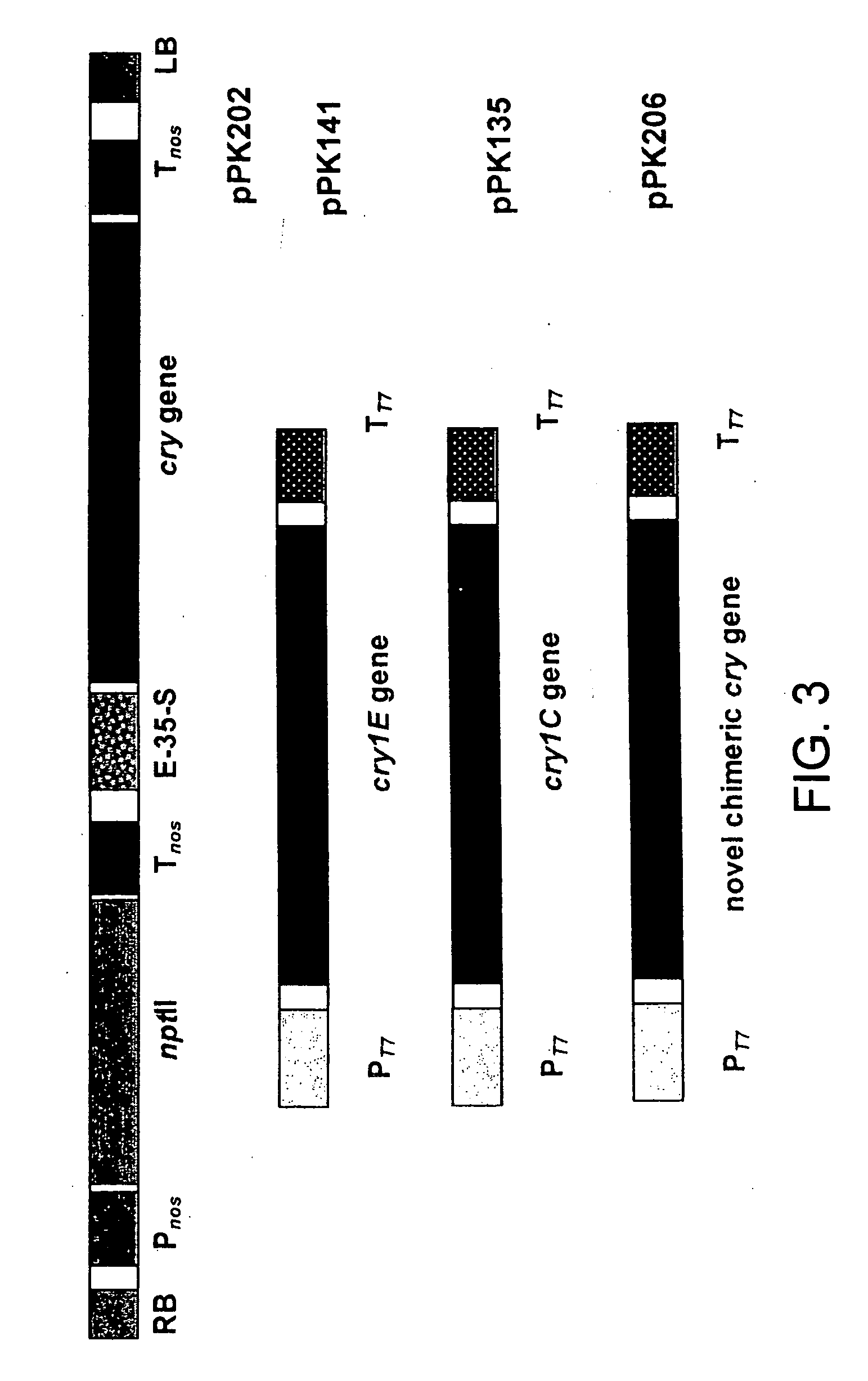 Chimeric CrylE delta endotoxin and methods of controlling insects