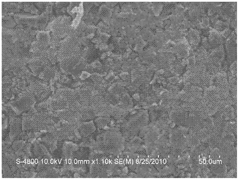 Composite type solid electrolytic capacitor electrode slice and preparation method thereof