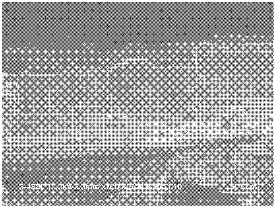 Composite type solid electrolytic capacitor electrode slice and preparation method thereof