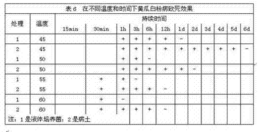 Compound microbes for reducing and disinfecting greenhouse soil and soil disinfection method