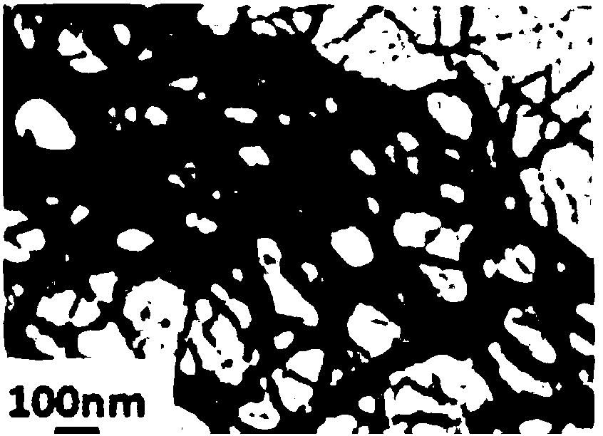 Electrochemical detection method for stem cells