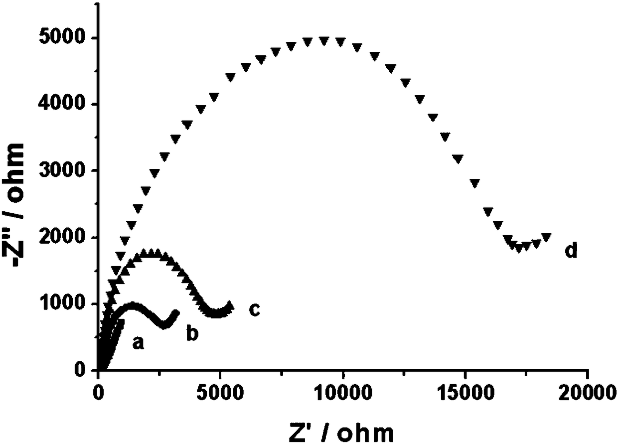 Electrochemical detection method for stem cells