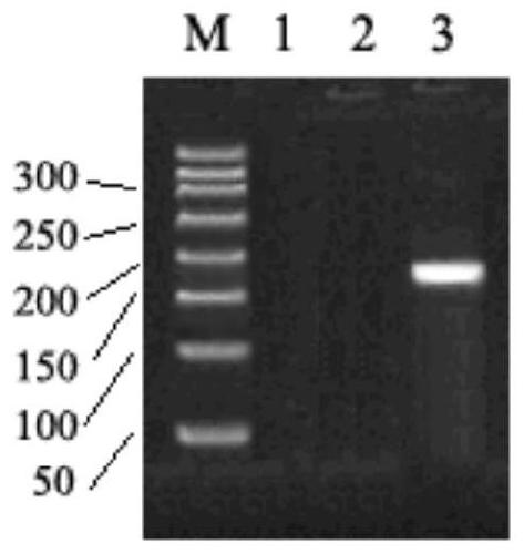 PIK3CA gene g.1792224821G&gt;A mutation and application thereof to auxiliary diagnosis of breast cancer