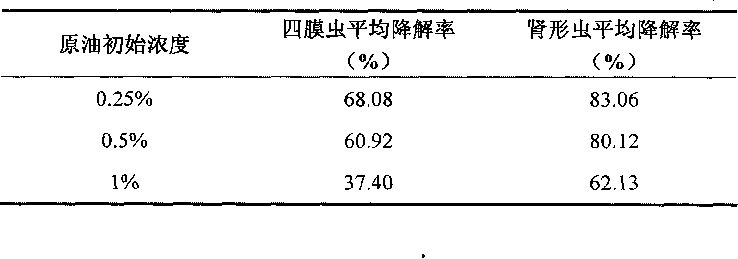 Method for degrading crude oil with protozoan infusorian