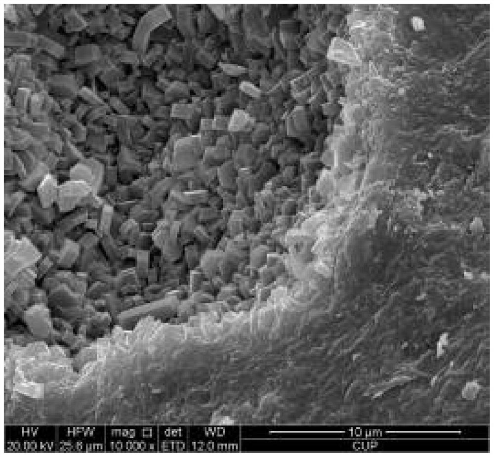 A method for synthesizing zsm-5 in situ with kaolin microspheres