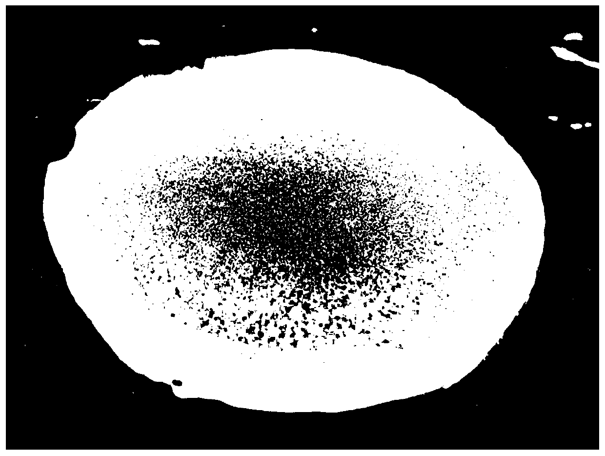 Hydrogel tablets for dispelling effects of alcohol and protecting liver as well as preparation method and application thereof