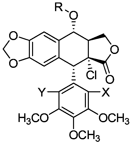 4alpha-acyloxy-2'(2',6'),2alpha-polyhalogenated podophyllotoxin derivatives as well as preparation method and application thereof