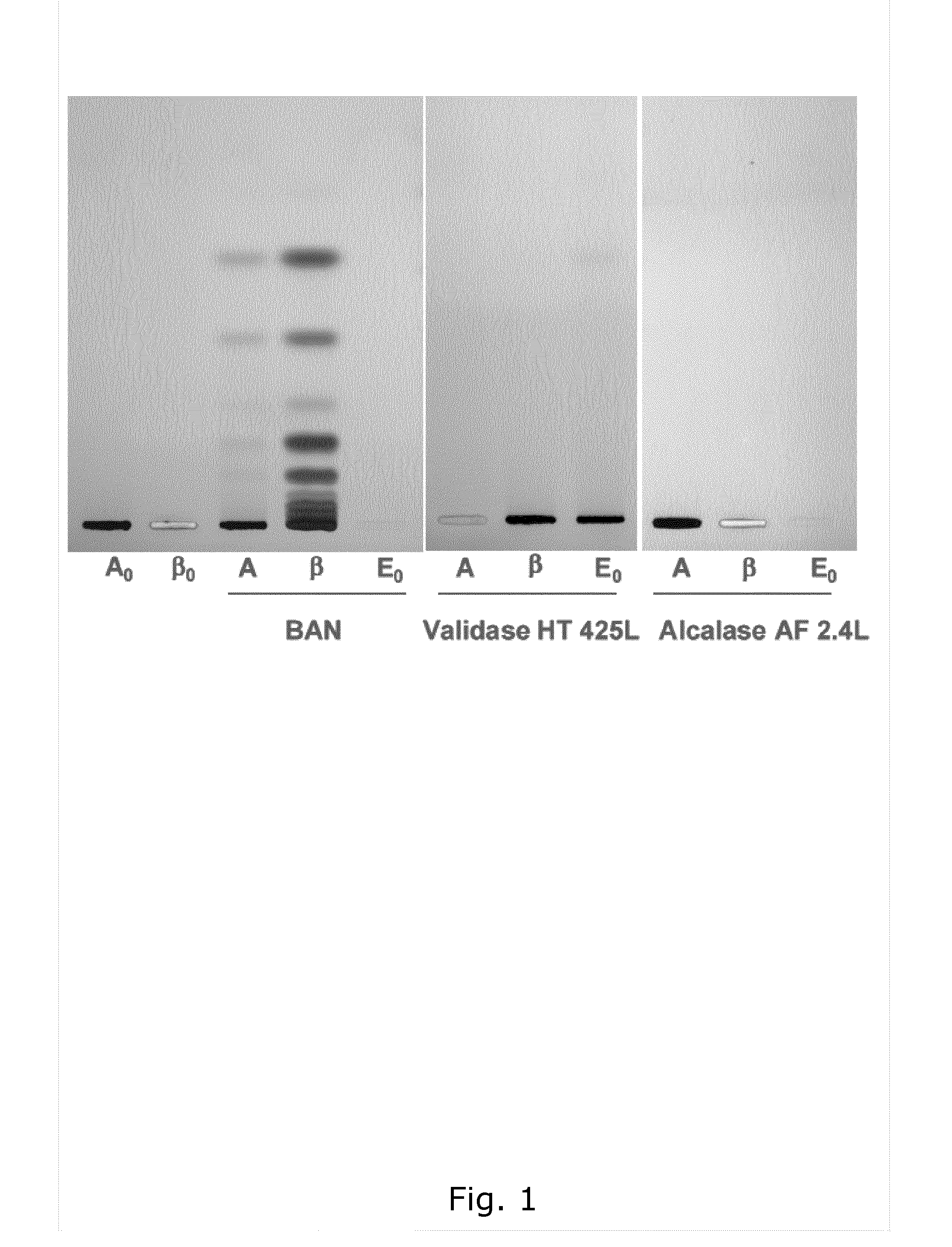 Ready-to-drink beverages comprising hydrolyzed whole grain