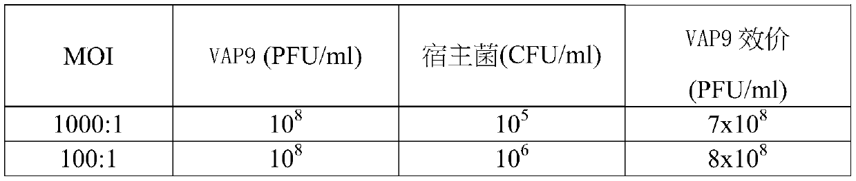 High temperature resistant vibrio alginolyticus phage, as well as composition, kit and application thereof