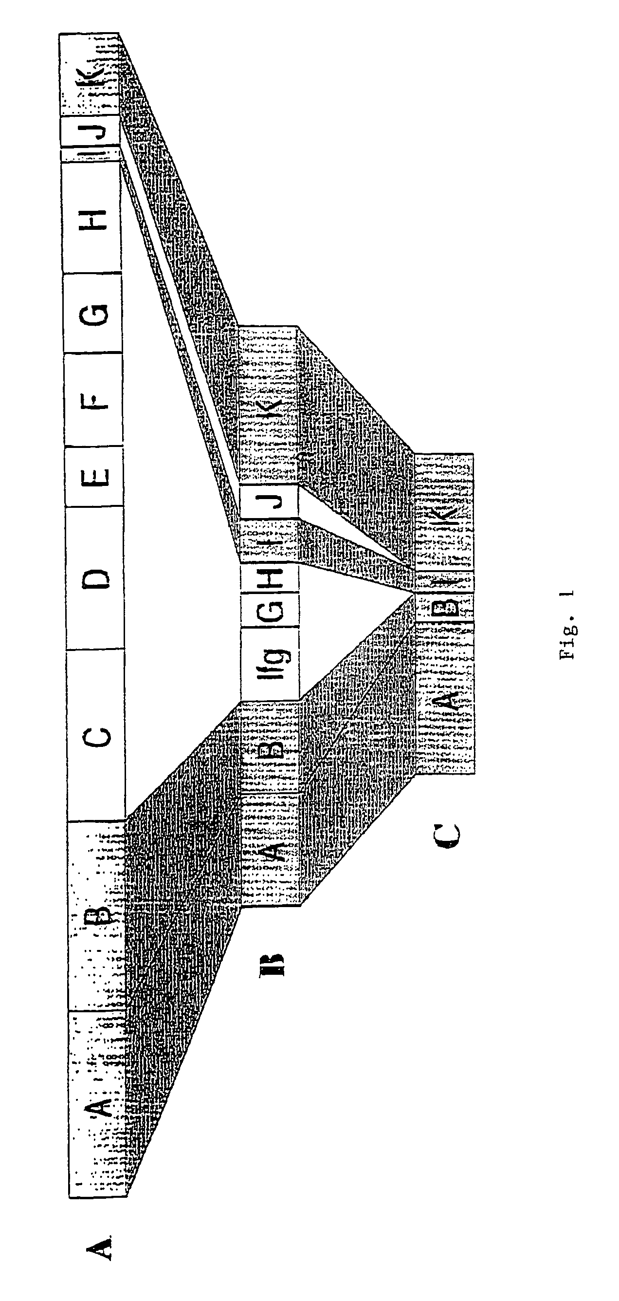 Groups of <i>barrelia burgdorferi </i>and <i>borrelia afzelii </i>that cause lyme disease in humans