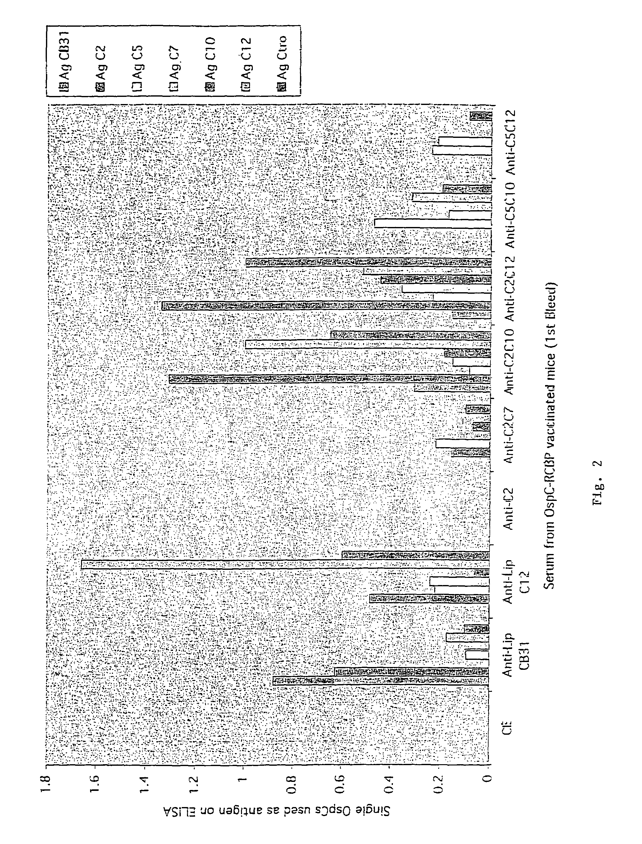 Groups of <i>barrelia burgdorferi </i>and <i>borrelia afzelii </i>that cause lyme disease in humans