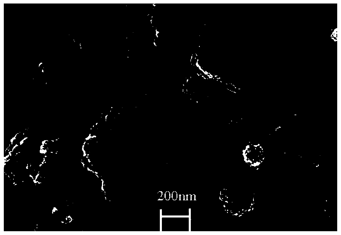 Composite of Lanthanum Molybdate and Ferromagnetic Material and Its Application in Preparation and Adsorption of Phosphorus Removal