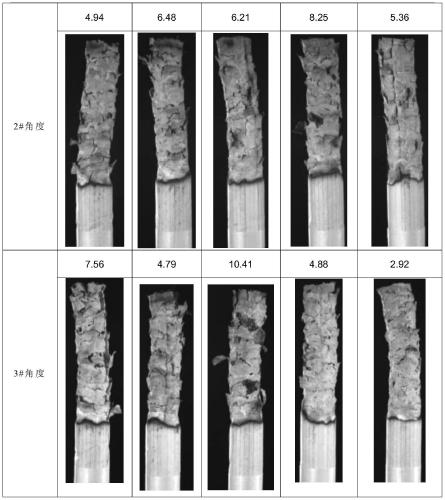 Image acquisition device of smoking path simulation system