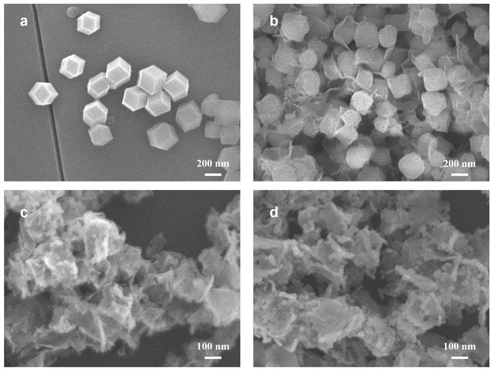 Preparation method of MOF-derived CoP hydrogen evolution catalyst