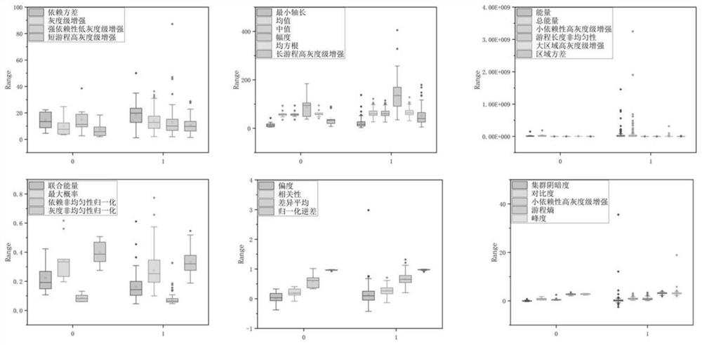 Radiomics feature screening method based on CC-attention mechanism