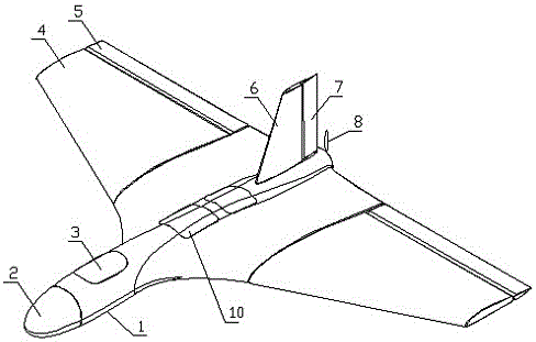 a delta wing aircraft